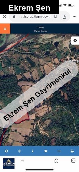 köyün di̇bi̇ düz çayin kenari