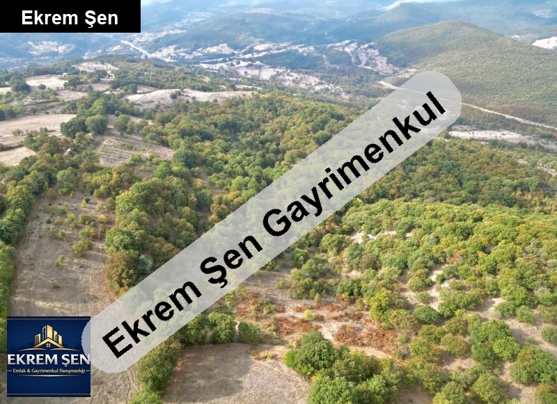 doğa manzarali arsa