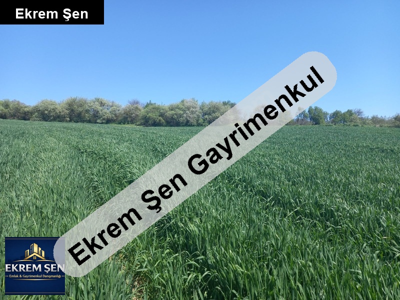 sahibinden ekilir biçilir