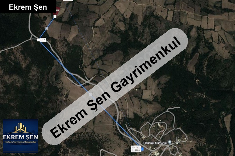 balikesi̇rde sahi̇bi̇nden yatirimlik tarla