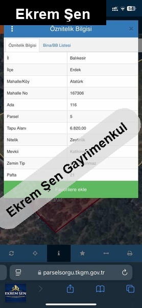 yüksek verimli 6820 m2 satılık zeytinlik