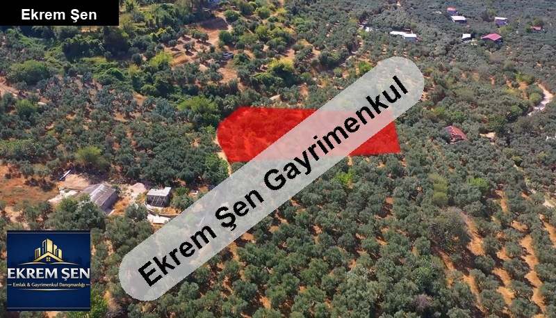 erdek te kadastro yollu deni̇z manzarali 2716 m satilik zeyti̇nli̇k