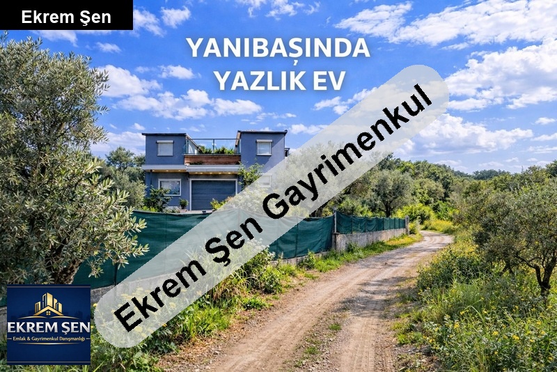 li̇man projesi̇ni̇n yaninda plaja 500 m 3 dönüm zeyti̇nli̇k