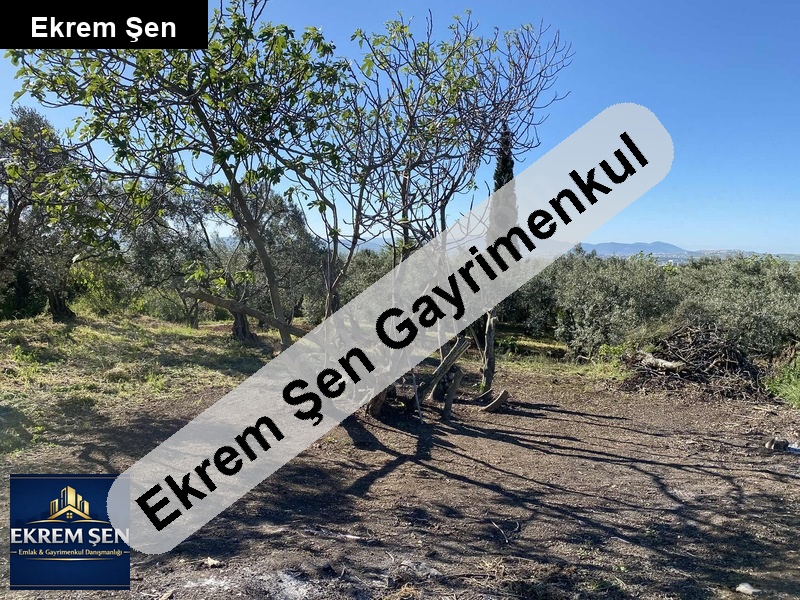 bahçe sahibinden doğrucada müstakil tapulu bağ