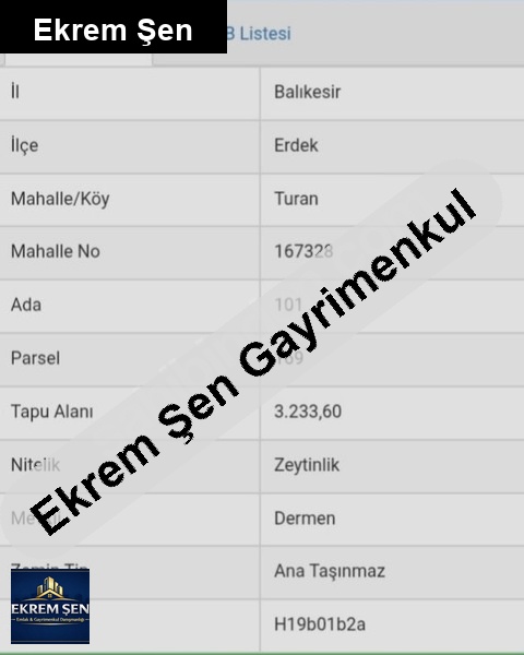balıkesir erdek turan mahallesinde yatırımlık zeytinlik