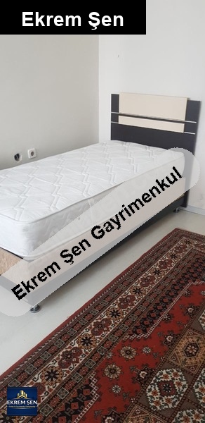 e ş y a l ı 2 +. 1