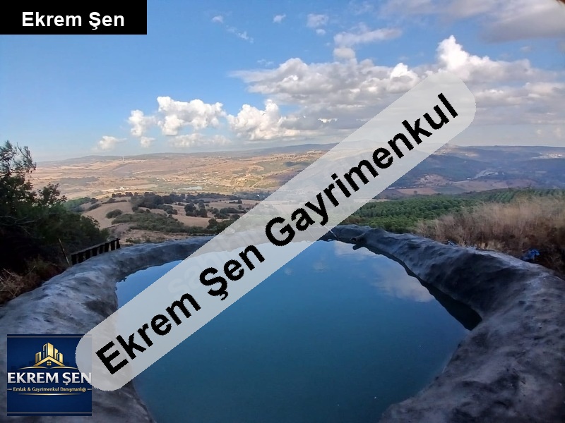 susurluk balıkesir yolu ceviz tarlası