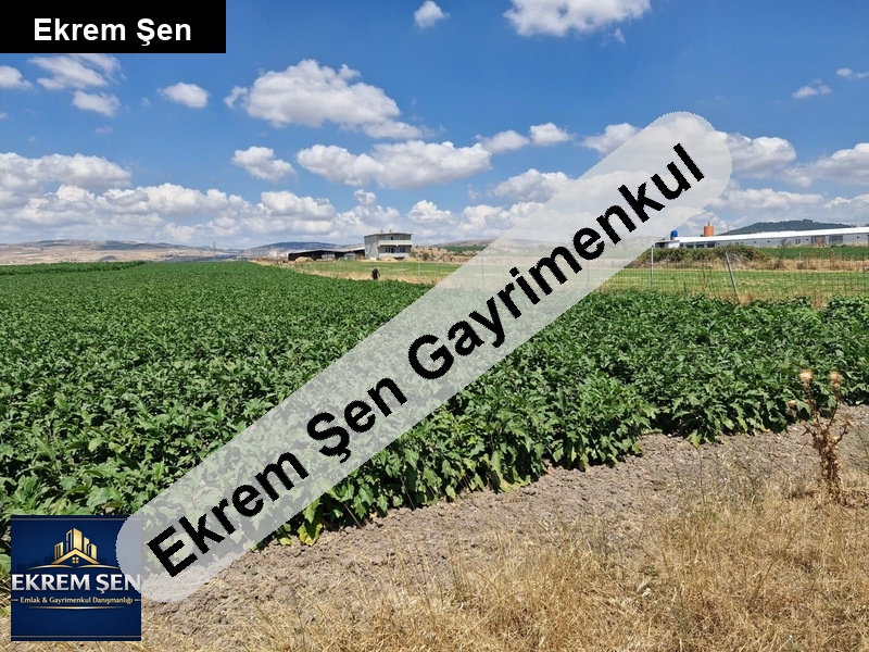 balıkesir merkez yakını 2,9 dönüm müstakil tek tapu tarla