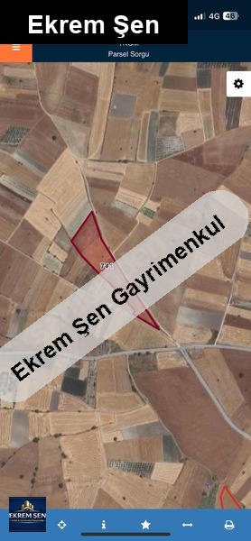 balıkesir altıeylül aslıhantepeciği mahallesinde hisseli tarla