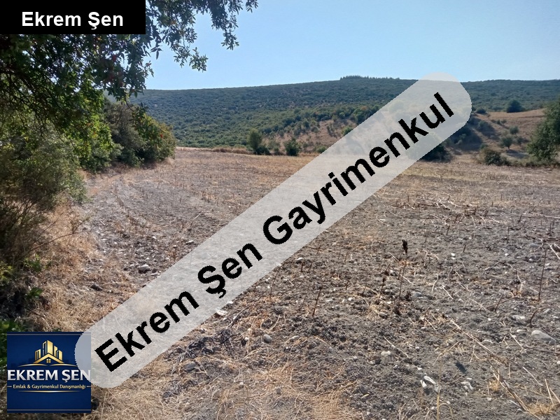 balıkesir orhanlı mahallesinde sahibinden satılık tarla