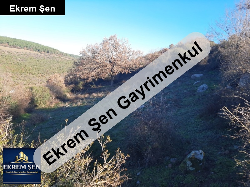 sahi̇bi̇nden, müstaki̇l parsel, i̇mar firsatli, doğayla i̇ç i̇çe