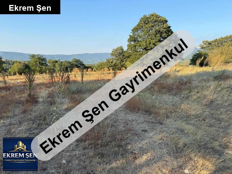 köy merkezi̇ne yakin kadastro yolu mevcut yatirimlik tarla