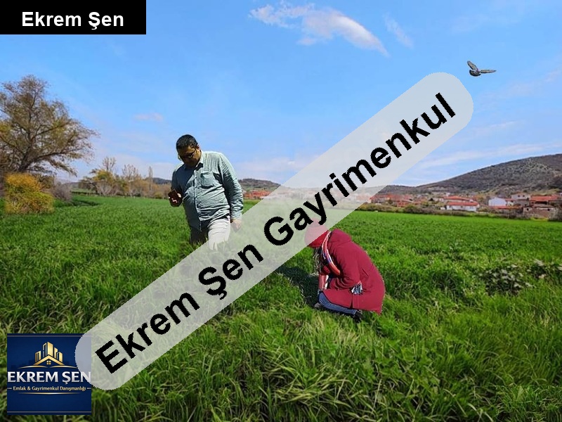 balikesi̇r altieylül dereçi̇ftli̇k de 2.675 m² satilik tarla