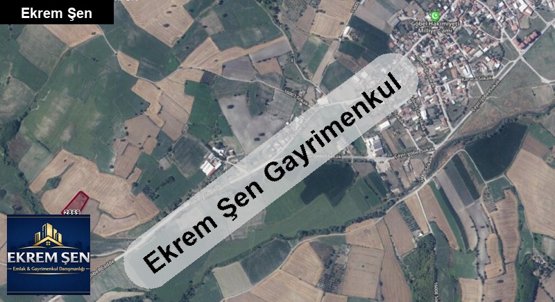 susurluk göbel mah. 6800 m2 zeytin ve ceviz bahçesi