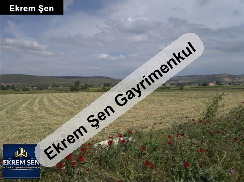 balikesi̇r altieylül pamukçu 10.4 dönüm satilik tarla