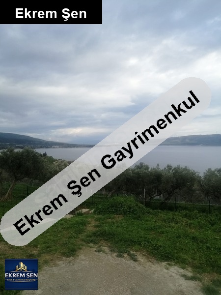 deni̇ze cephe 3 dönüm zeyti̇nli̇k