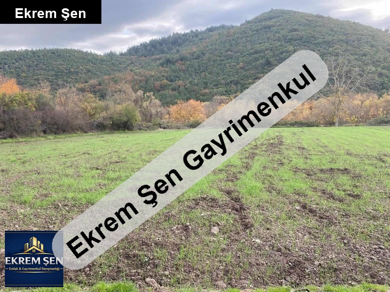 akarsu kenari,yerleşi̇me çok yakin ,eği̇msi̇z ,3 dönüm