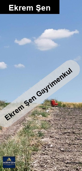 sahi̇bi̇nden satilik aksakal mah. 42.750 m2 yatirimlik tarla