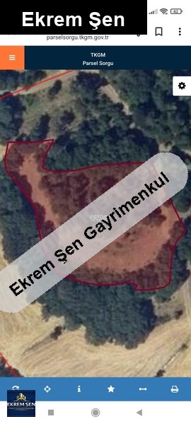 kirazpınar da 4 dönüm ihtiyaçtan satılık