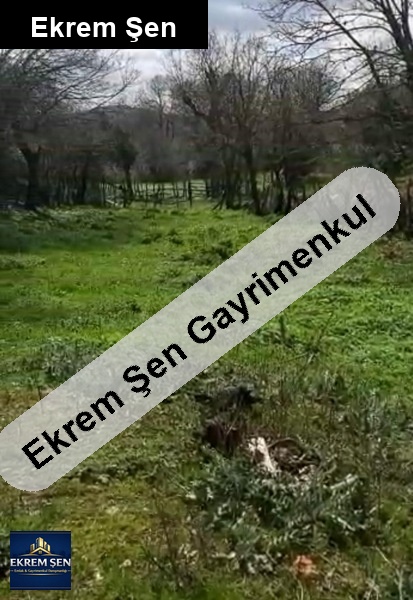 balikesi̇r gönende alaşar köy i̇ç. 720 m2 aci̇l satilik arsa