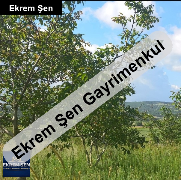 aci̇l satilik balıkesir bakacak mahllesinde sahi̇bi̇ndn ceviz bahçe