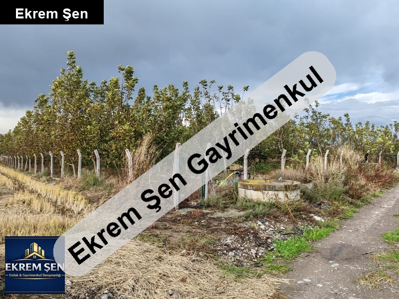 gönen kurtuluş'ta suyu bol, 100 ağaçli, çevri̇li̇ 2.5 dönüm