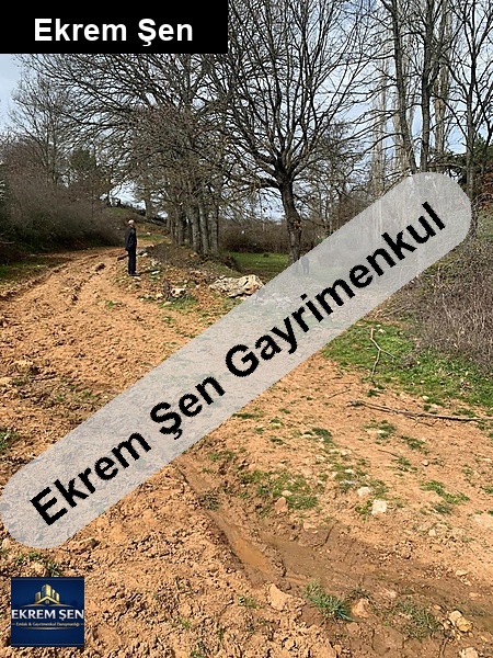 balıkesir balya doğanlarda köy i̇çi mevkii 2 dönüm sahibinden