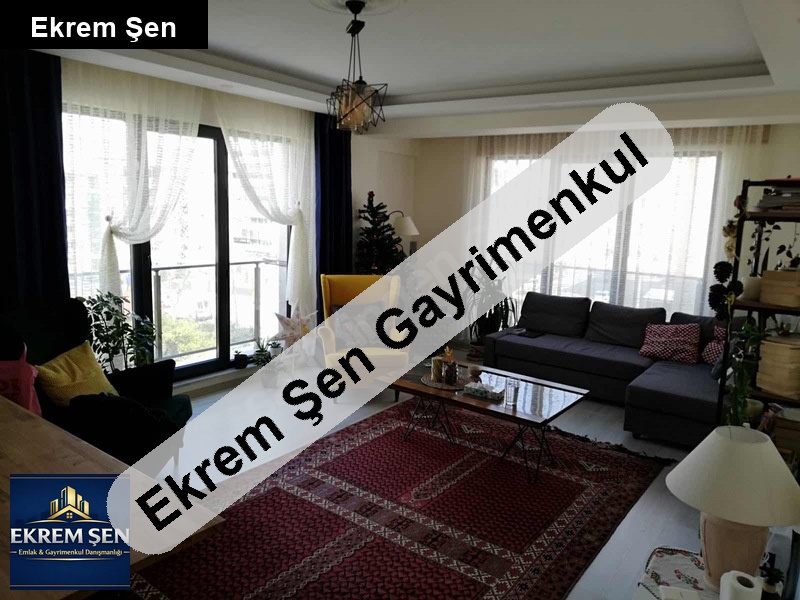 3+1 site i̇çerisinde geniş daire