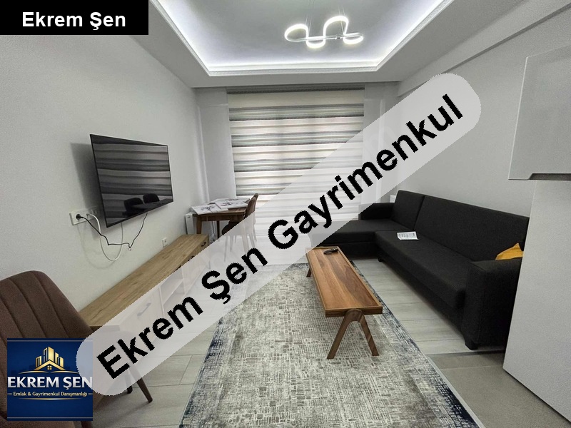sahi̇bi̇nden aboneli̇kleri̇ açik, sifir eşyali ve sifir dai̇re