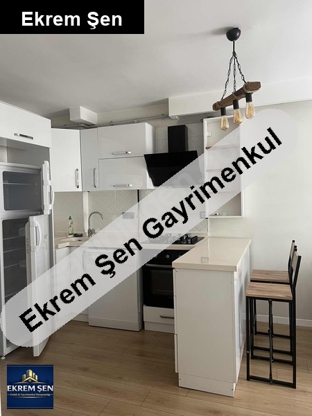 eşyali 1+1 dai̇re