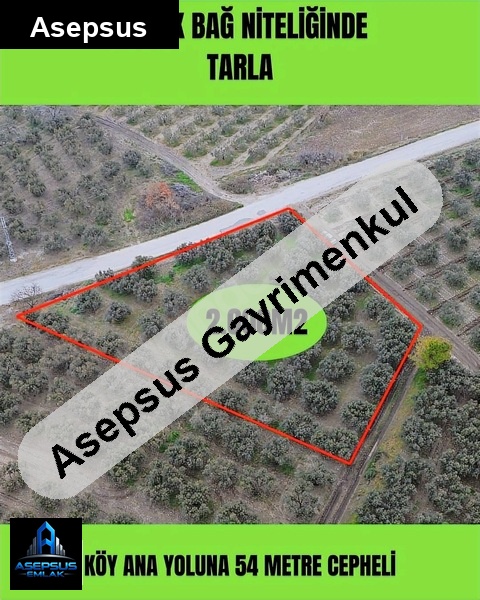 Asepsus Emlak'tan  misakça mh. 'sinde satılık arsa