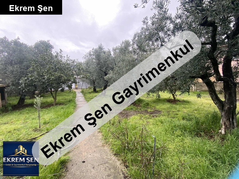 erdek narlı köyü bahçeli müstakil ev