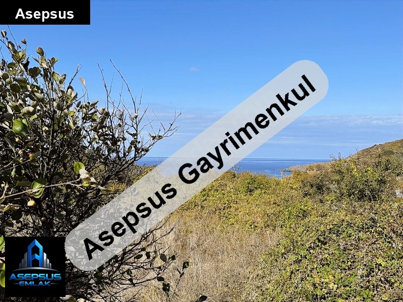 Asepsus Emlak'tan  yenice mh. 'sinde satılık arsa