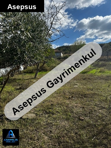 Asepsus Emlak'tan  kalfaköy mh. 'sinde satılık arsa