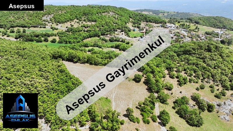 Asepsus Emlak'tan  kalburcu mh. 'sinde satılık arsa