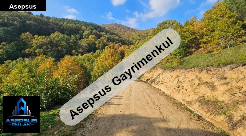 Asepsus Emlak'tan  karasukabaklar mh. 'sinde satılık arsa
