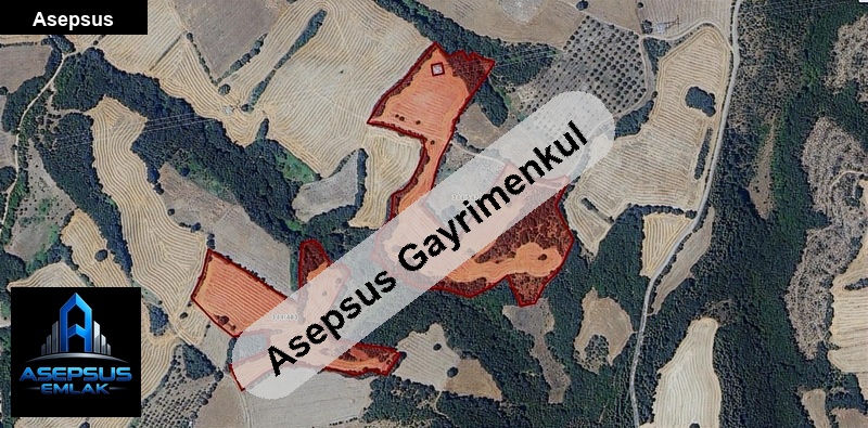 Asepsus Emlak'tan  sarıköy mh. 'sinde satılık arsa