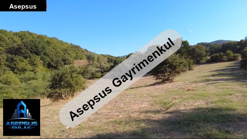 Asepsus Emlak'tan  üçpınar mh. 'sinde satılık arsa