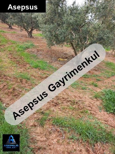 Asepsus Emlak'tan  hıdırköy mh. 'sinde satılık arsa