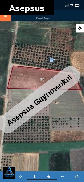 Asepsus Emlak'tan  ergili mh. 'sinde satılık arsa