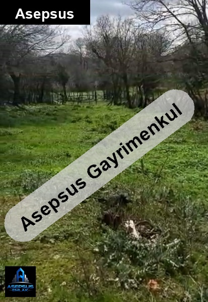 Asepsus Emlak'tan  alaşar mh. 'sinde satılık arsa