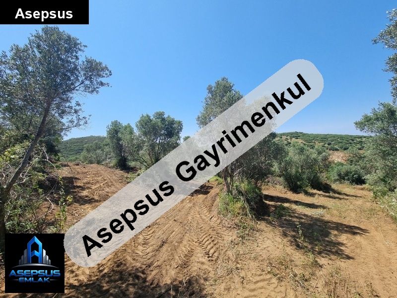 Asepsus Emlak'tan  yenice mh. 'sinde satılık arsa