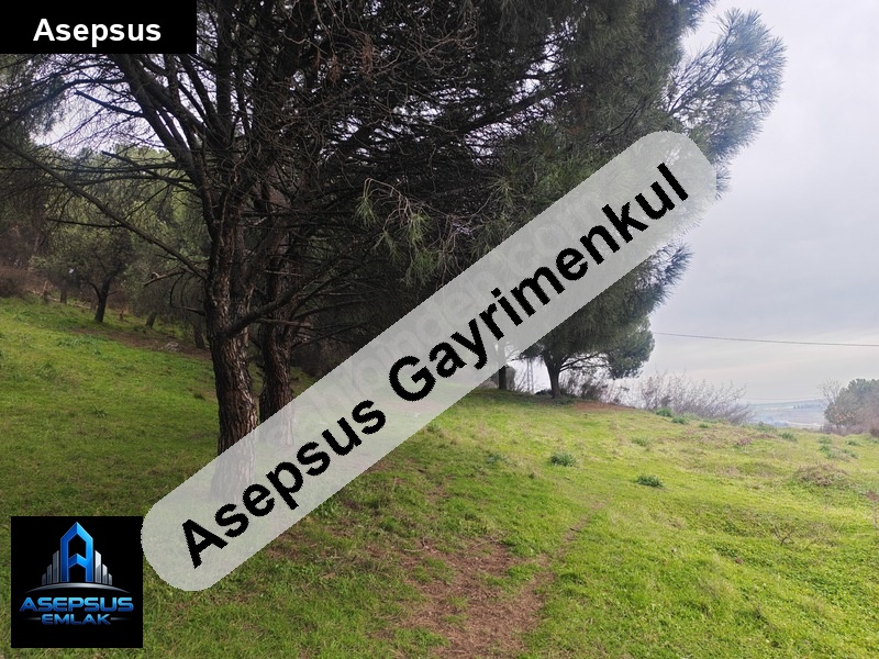 Asepsus Emlak'tan  sarıköy mh. 'sinde satılık arsa