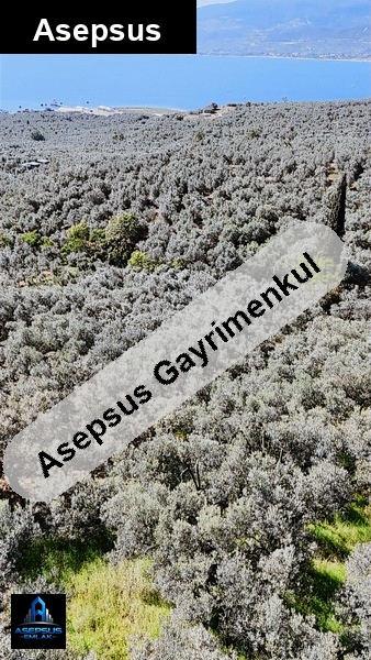 Asepsus Emlak'tan  edincik mh. 'sinde satılık arsa