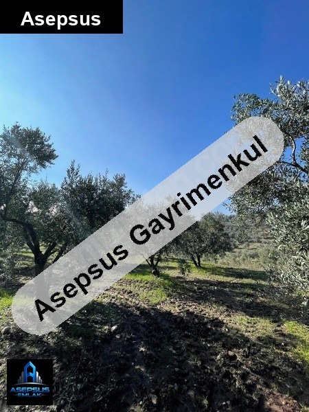 Asepsus Emlak'tan  havutça mh. 'sinde satılık arsa