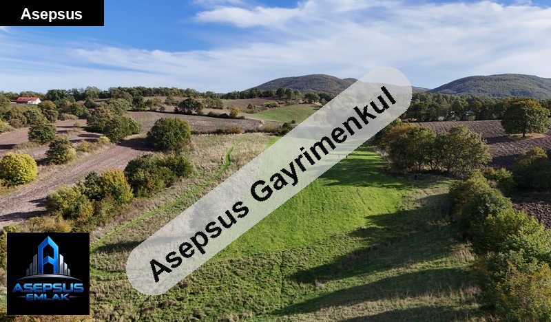 Asepsus Emlak'tan  balcıdede mh. 'sinde satılık arsa