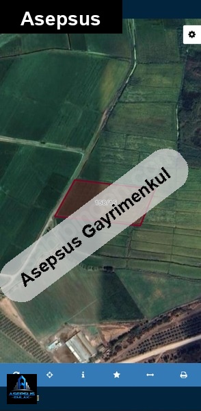 Asepsus Emlak'tan  misakça mh. 'sinde satılık arsa