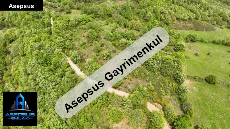 Asepsus Emlak'tan  beyoluk mh. 'sinde satılık arsa
