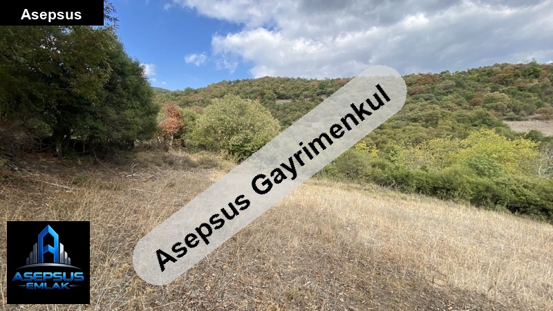 Asepsus Emlak'tan  ortaoba mh. 'sinde satılık arsa
