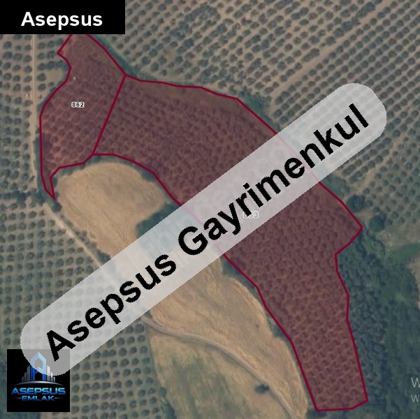 Asepsus Emlak'tan  misakça mh. 'sinde satılık arsa